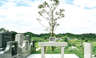 松島樹木葬のハナミズキ葬
